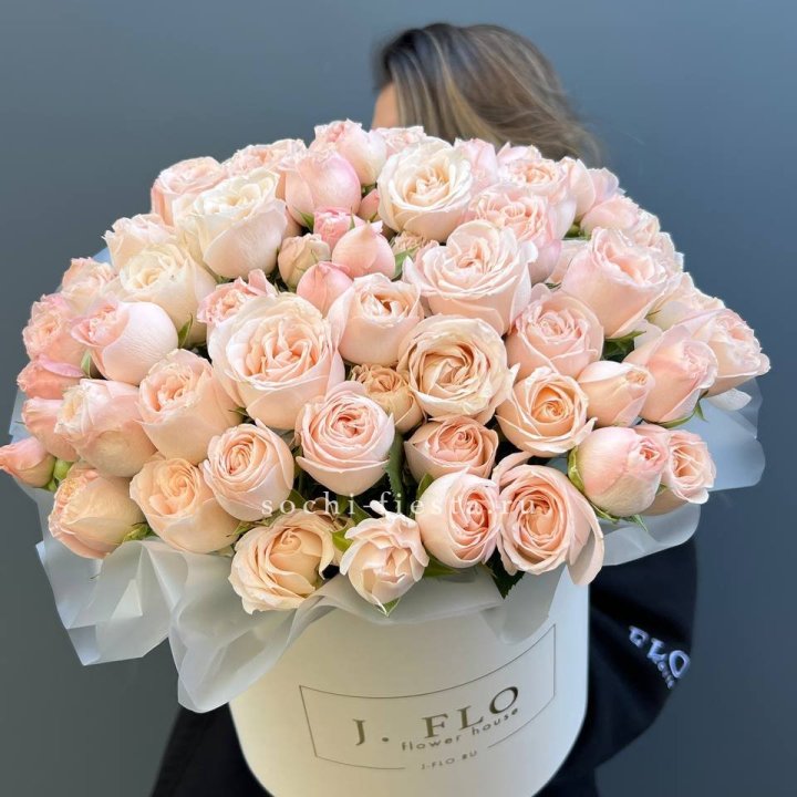 Бомбастик бокс Премьер в Махачкале