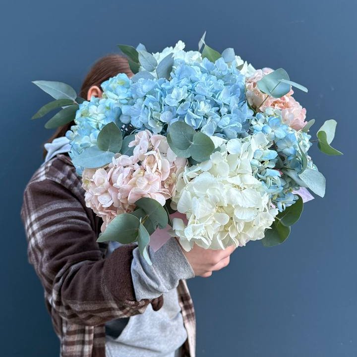 Гортензии в коробочке в Махачкале