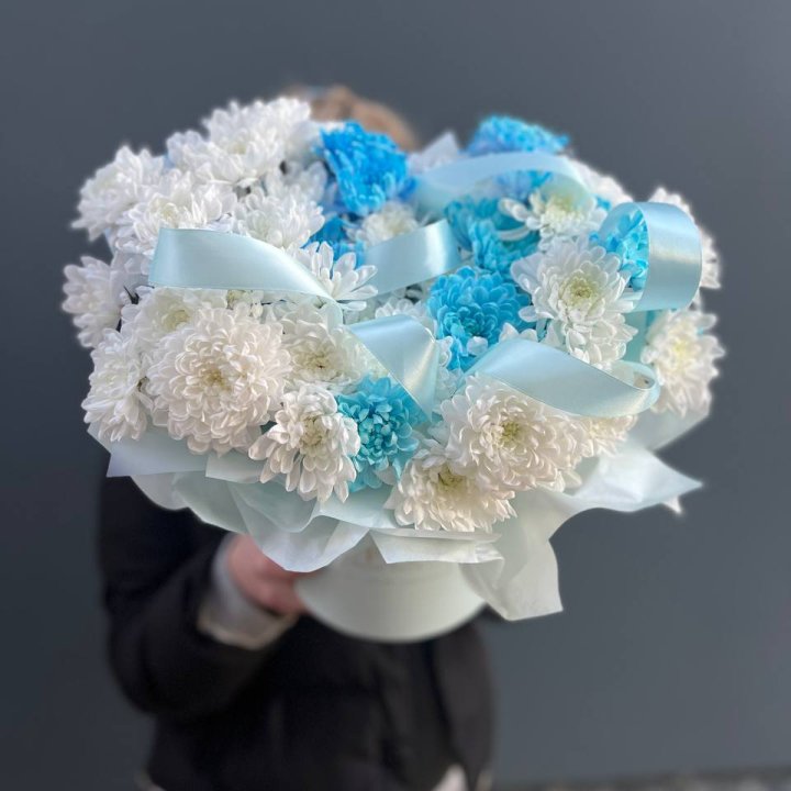 Хризнтемы в боксе в Махачкале