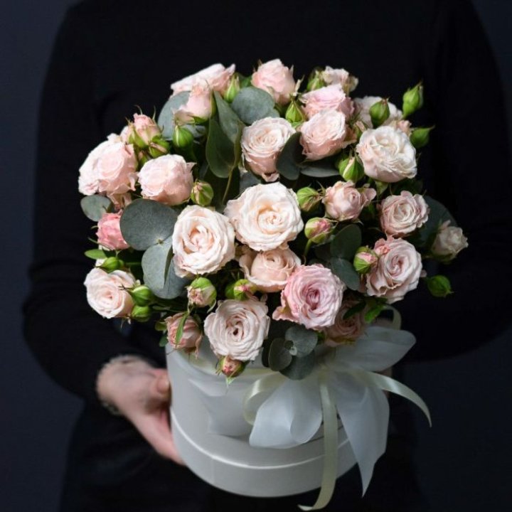 Бомбастик бокс №2 в Махачкале