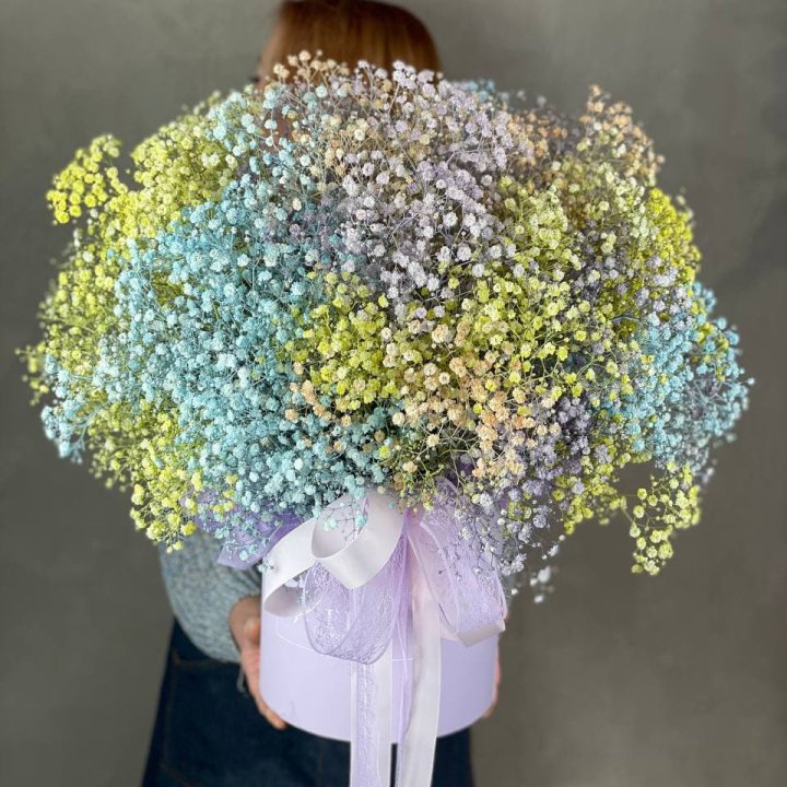 Бокс из гипсафил в Махачкале