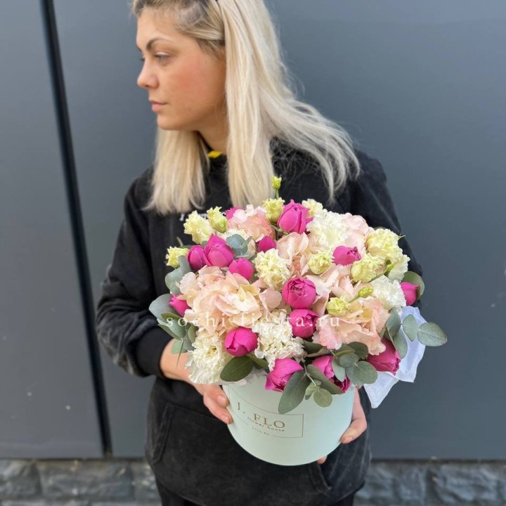 Сборный бокс премьер в Махачкале