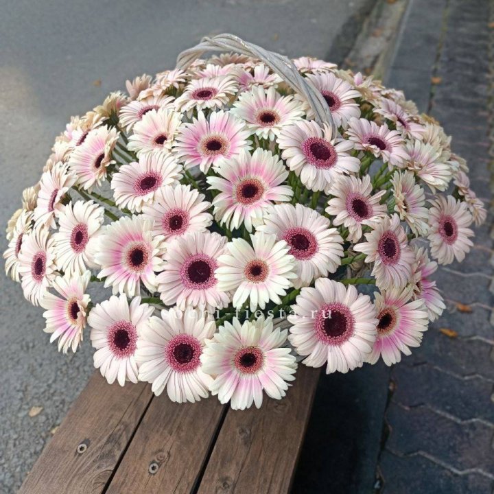 Корзина с герберами  в Махачкале