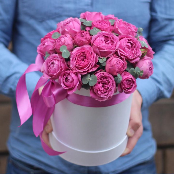 Бокс мисти баблс в Махачкале