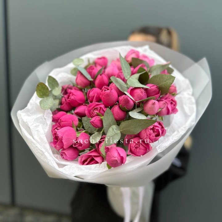 17 Мисти бабблс в Махачкале