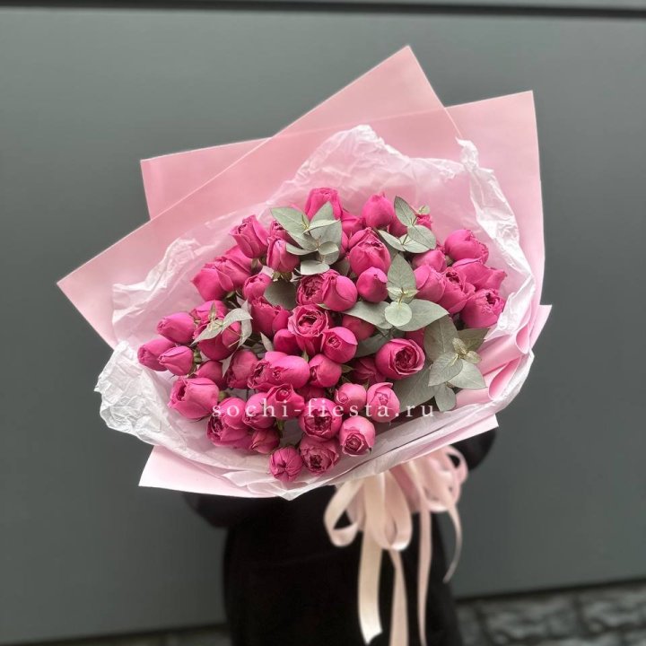 25 Мисти бабблс в Махачкале