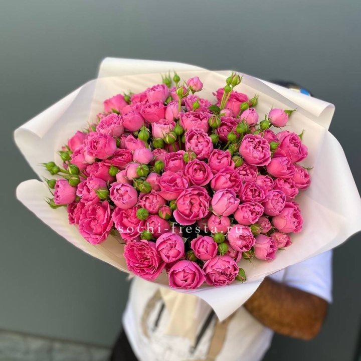 Мисти Баблс 35шт в Махачкале