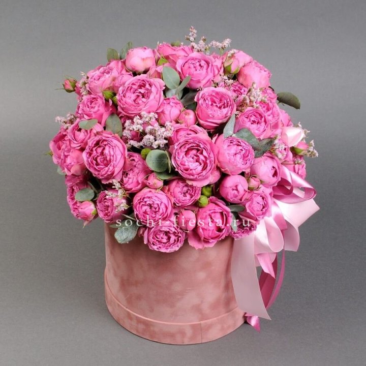 Мисти бокс №1 в Махачкале