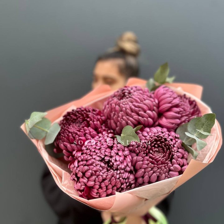 Хризантемы  Бигуди  в Махачкале