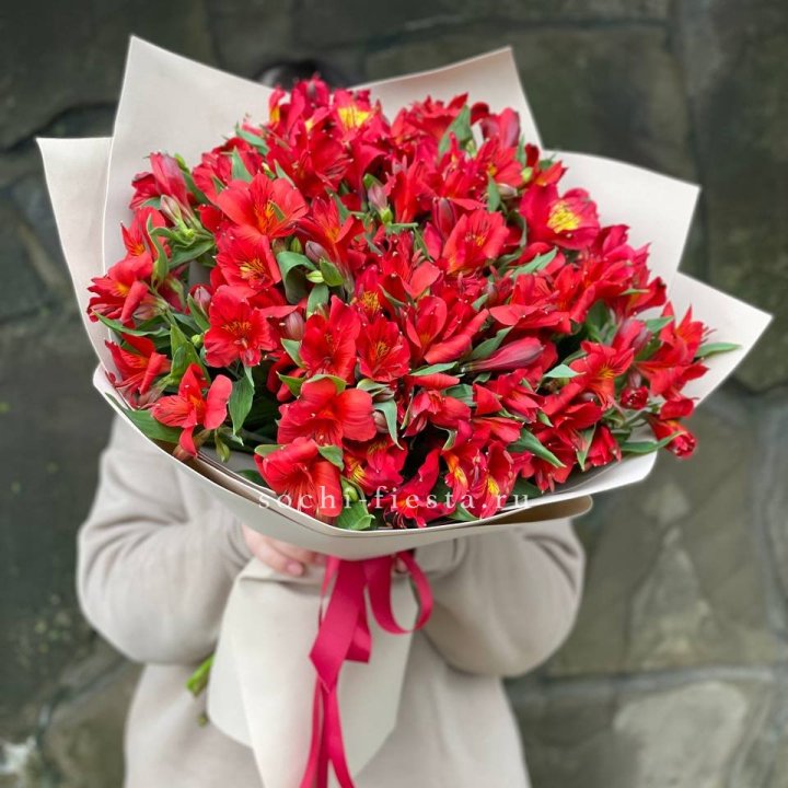 51 альстромерия в Махачкале