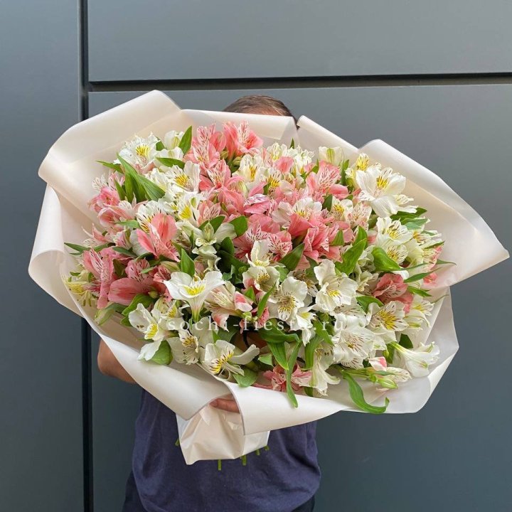 39 альстромерий в Махачкале