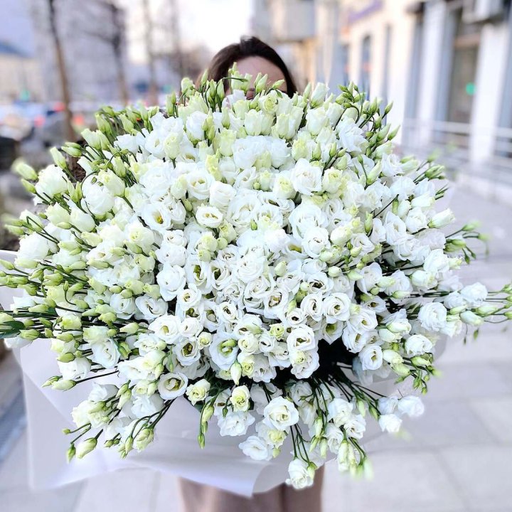 101 белая эустома в Махачкале