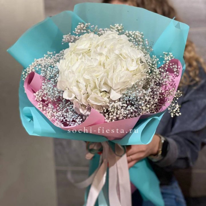 Гортензия "Райдов" в Махачкале