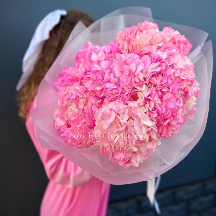 7 ярко розовых гортензий в Махачкале