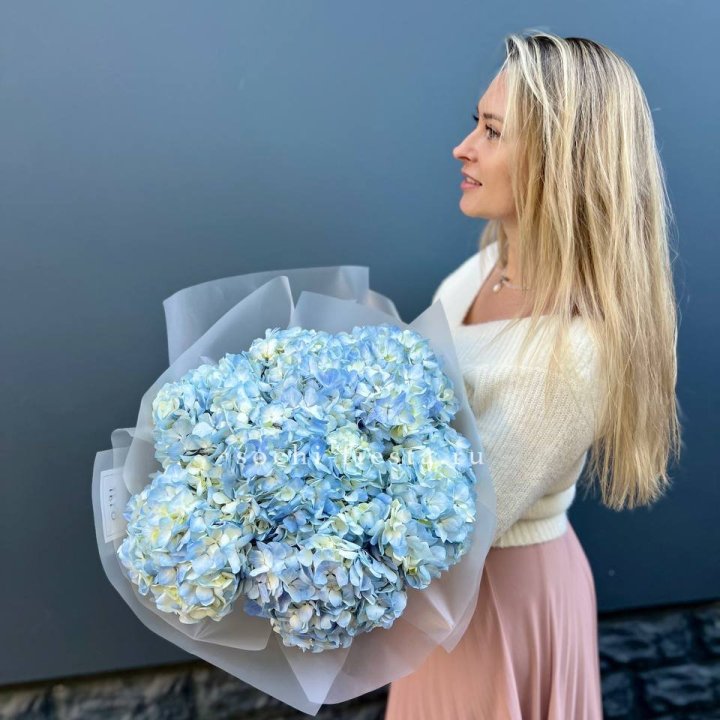 7 голубых гортензий в Махачкале