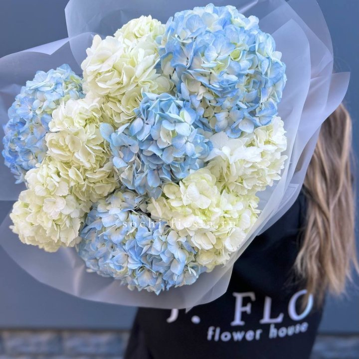 9 бело-голубых гортензий в Махачкале
