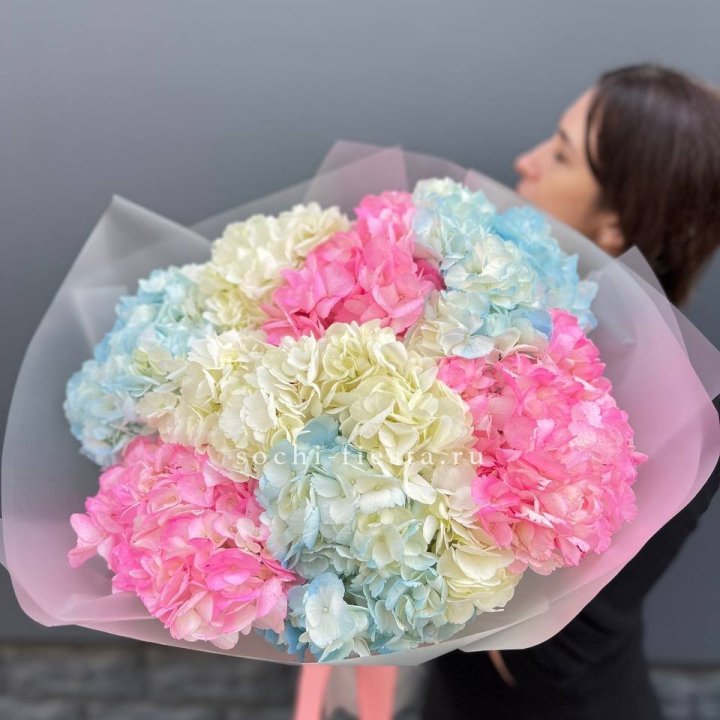 9 гортензий микс в Махачкале