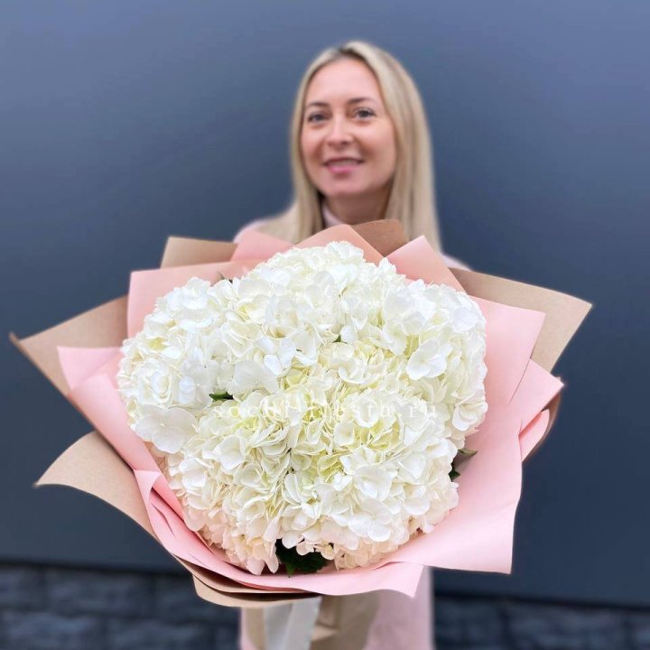 Гортензия белая в Махачкале