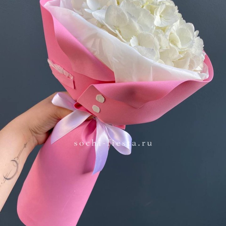 Гортензия в розовом пиджаке в Махачкале