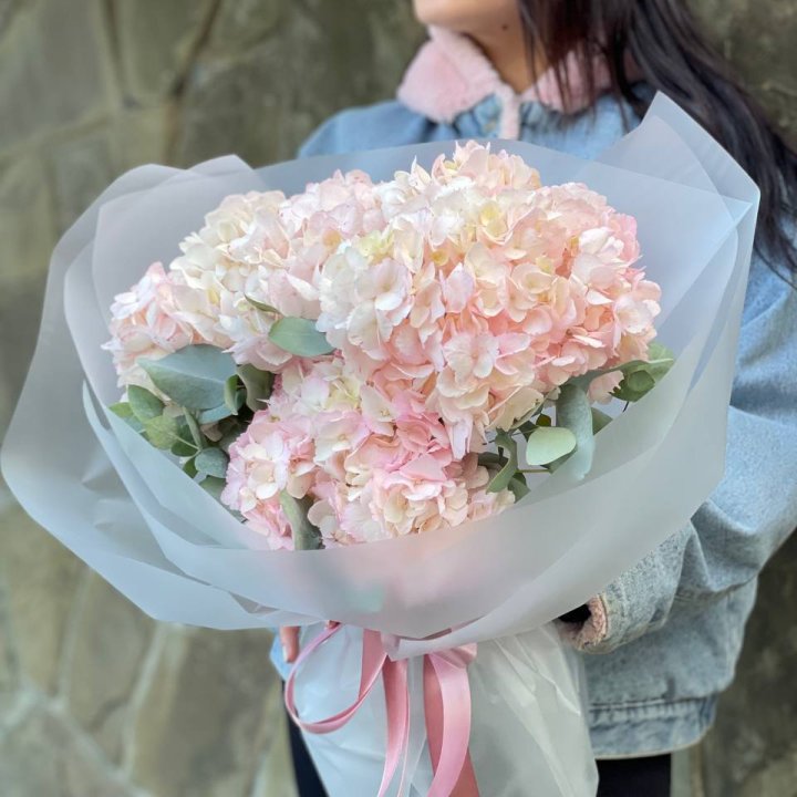 5 розовых гортензий в Махачкале