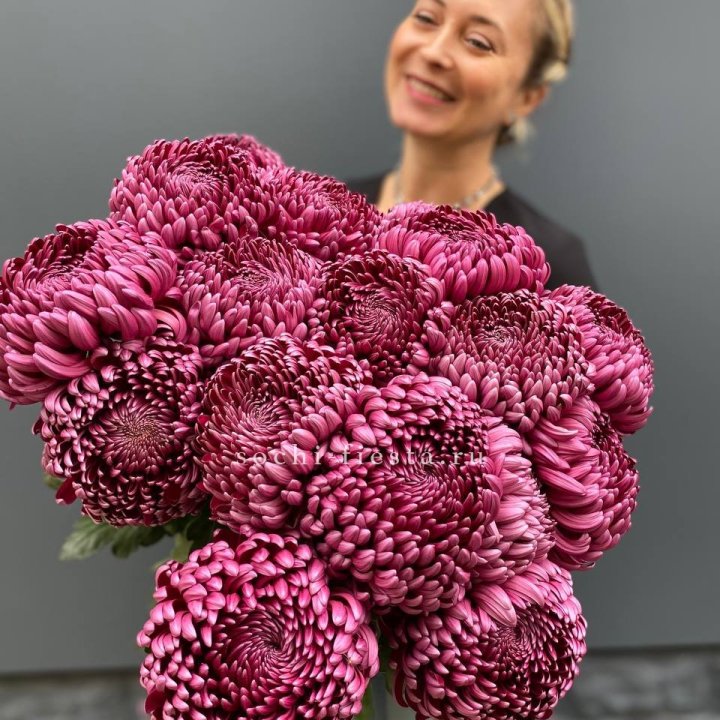 Охапка хризантем Бигуди в Махачкале