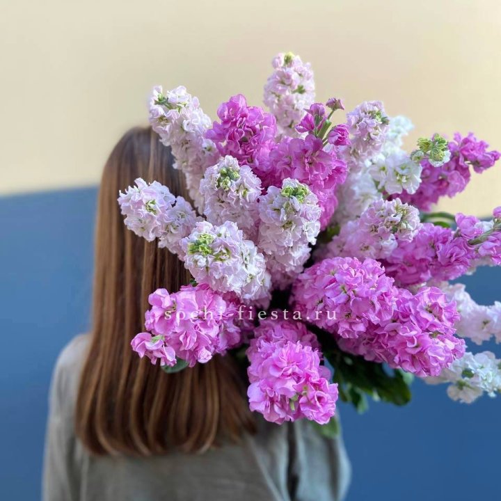 Охапка маттиолы в Махачкале