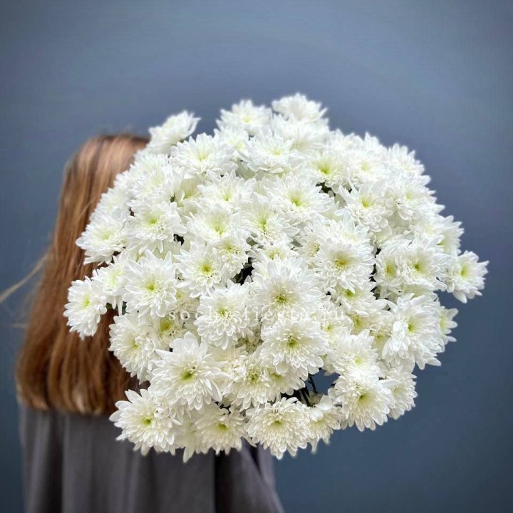 Охапка Хризантемы кустовой в Махачкале