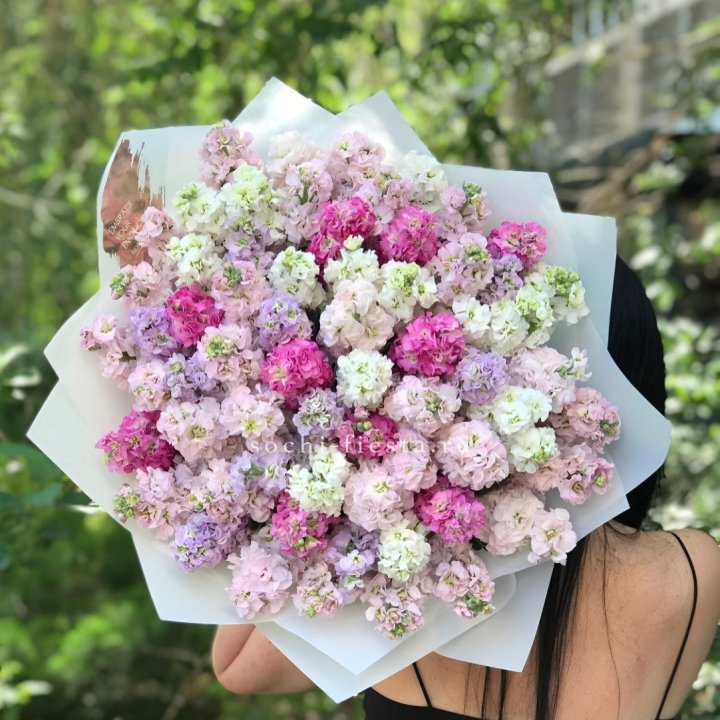 Букет ароматной маттиоллы №3 в Махачкале