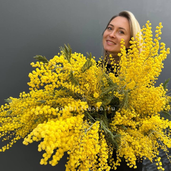 Охапка мимозы №2 в Махачкале