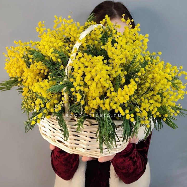 Корзина ароматной мимозы в Махачкале