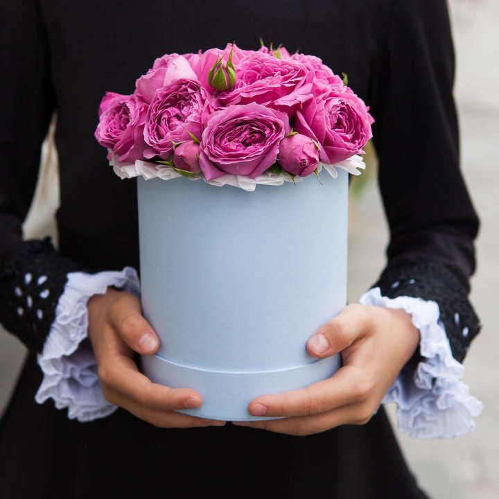 Бокс мини мисти в Махачкале