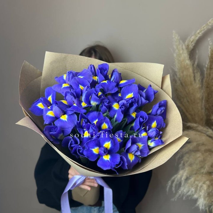 Ирисы в Махачкале