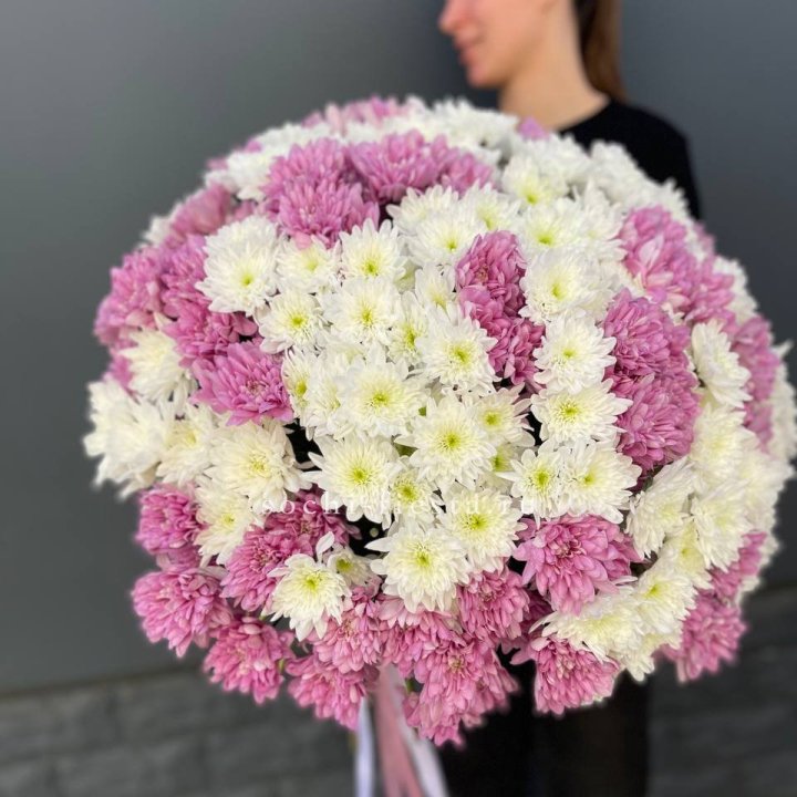  Букет 25 хризантем микс в Махачкале