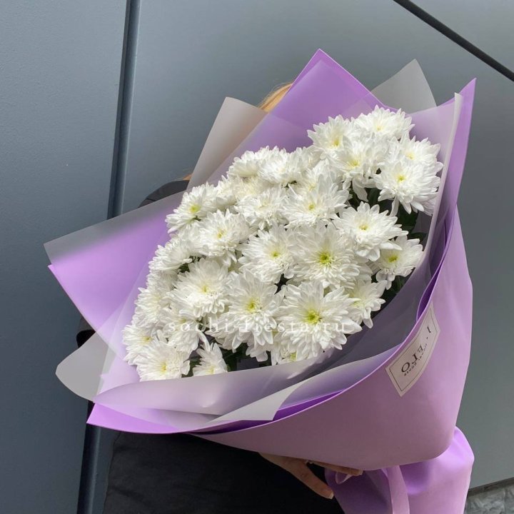  7 хризантем  в Махачкале