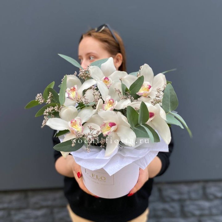 7 орхидей в боксе в Махачкале