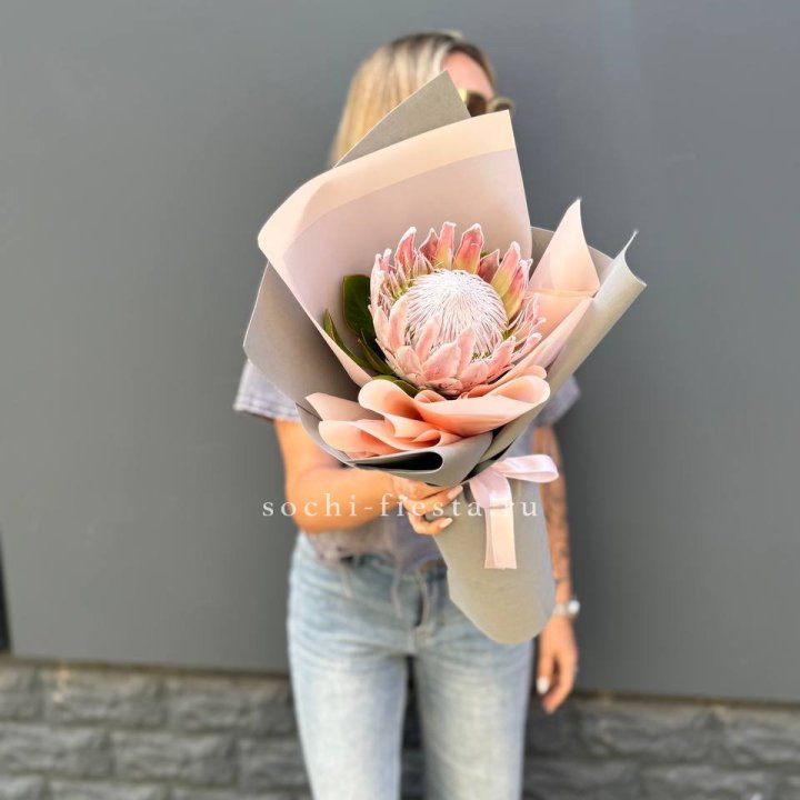 Протея мини  в Махачкале