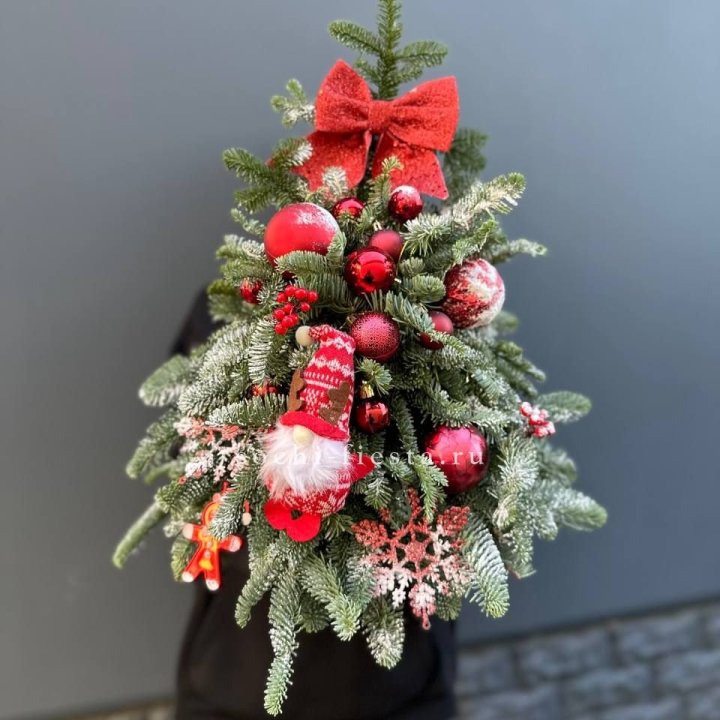 Новогодняя елочка "Ред" в Махачкале