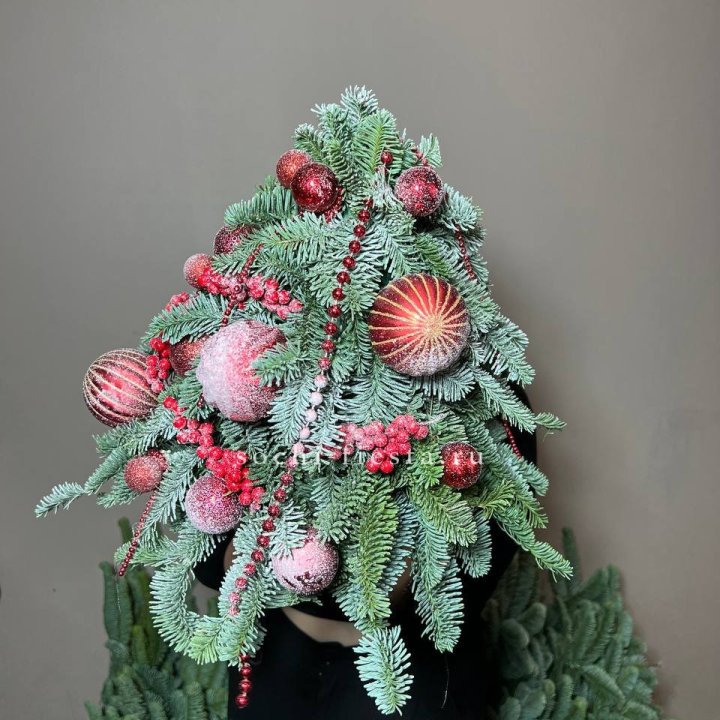 Ёлка красная в Махачкале