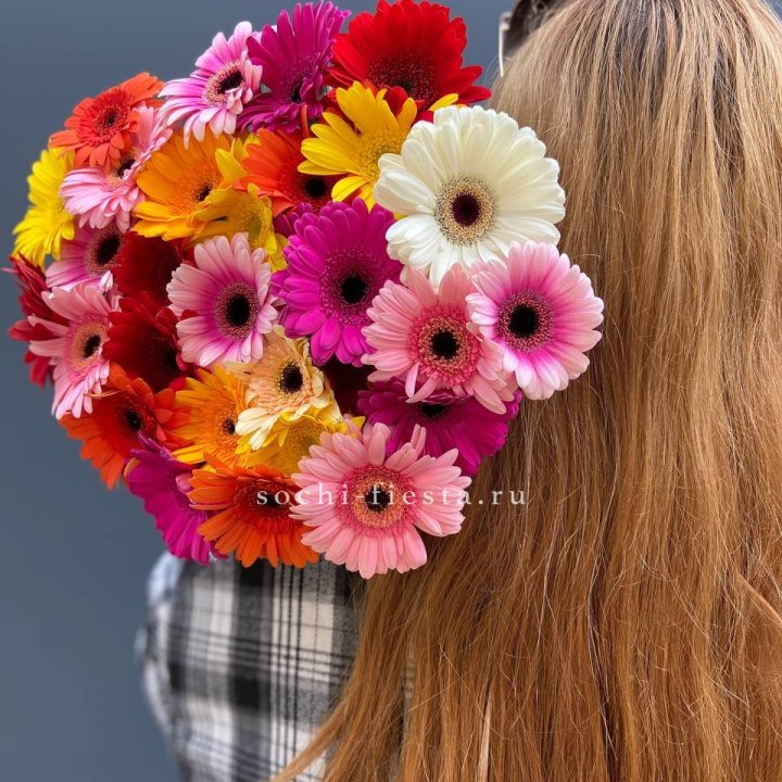 Охапка гербер  в Махачкале