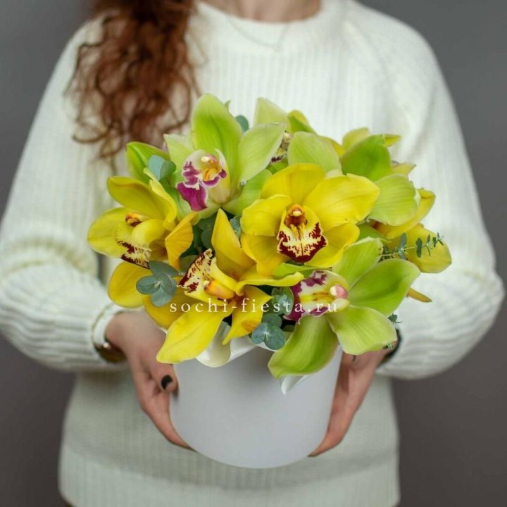 Бокс с орхидей №1 в Махачкале