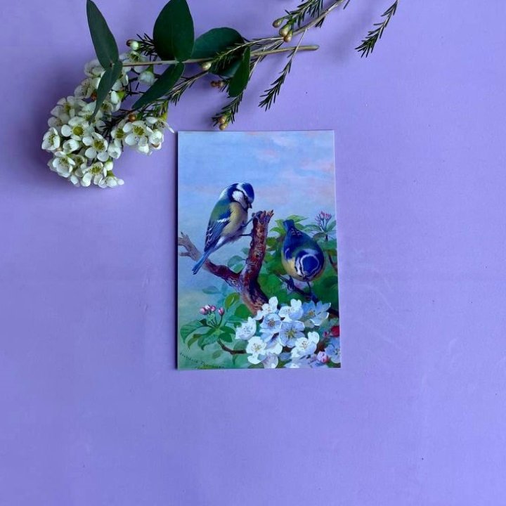 Открытка к букету "Птицы" в Махачкале