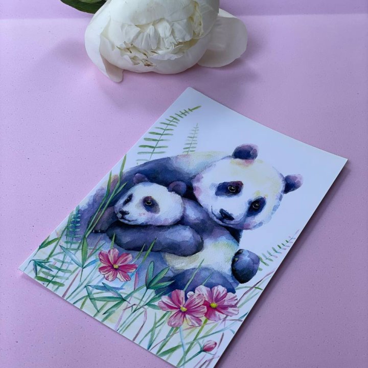 Открытка к букету "Объятие Панды" в Махачкале