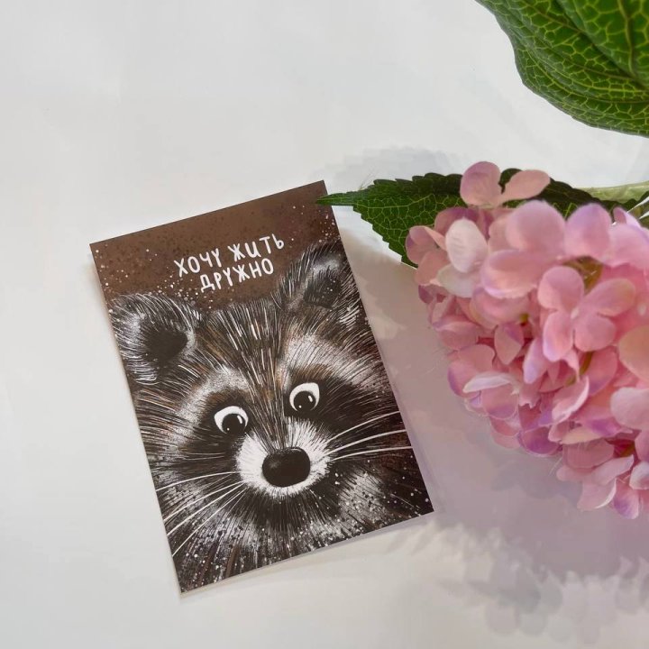 Открытка к букету "Енотик" в Махачкале