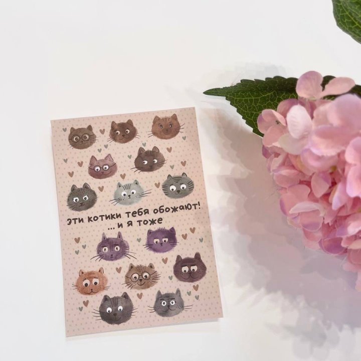 Открытка к букету "Котики" в Махачкале