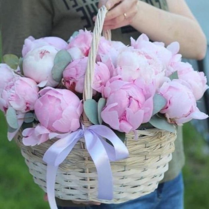 15 пионов в корзине в Махачкале