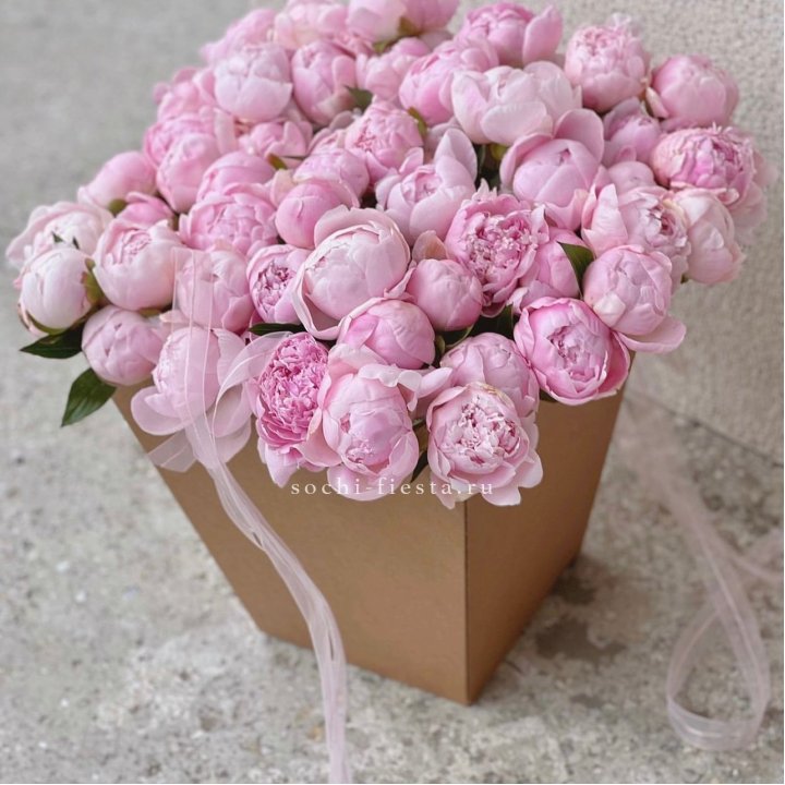 49 пионов в крафт коробке в Махачкале