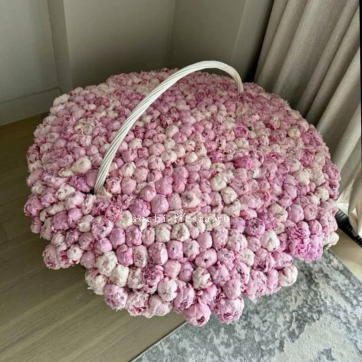 Корзина 555 пионов в Махачкале