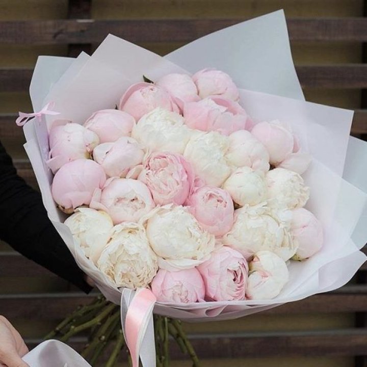 29 пионов в Махачкале