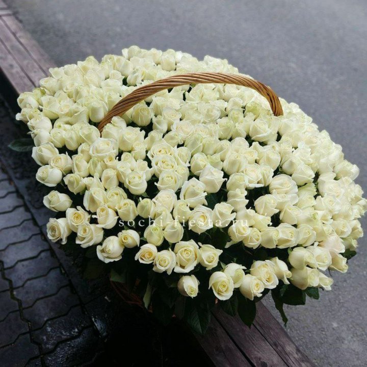 303 розы в корзине в Махачкале