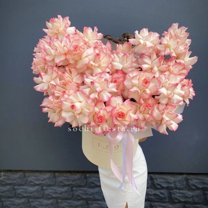 31 французская роза Джумилия в боксе в Махачкале